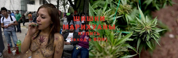 сатива Покров