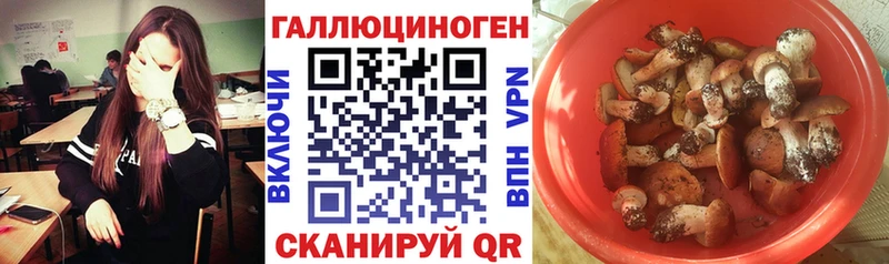 Псилоцибиновые грибы мицелий  Ишимбай 